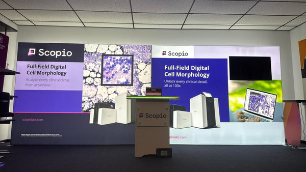 20ft Frameless SEG Lightbox Display