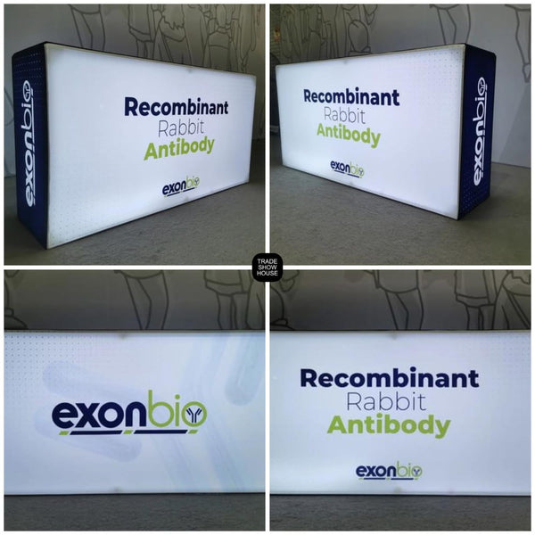 6.5ft Backlit SEG Light Box Counter