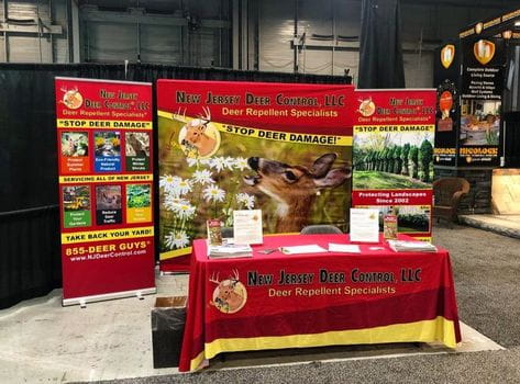 8ft Straight Tension Fabric Display - Displays