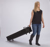 VK-1851 | SEGUE - ecoSmart Inline