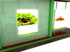VK-5135 | Island Exhibit - ecoSmart Inline